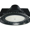 Luminoso: D-100W